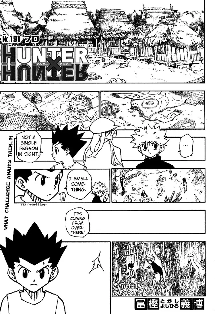 Hunter x Hunter Chapter 191 2